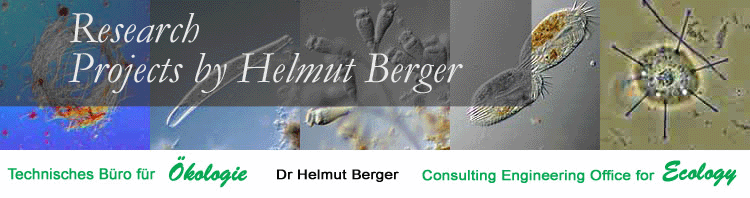 Research Projects by Helmut Berger
